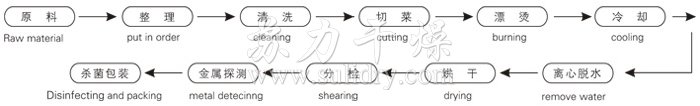 脱水蔬菜带式干燥工艺流程